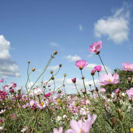 Vakantiehuis Family In Hambachtal Boutique Oberhambach