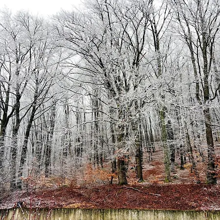 Family In Hambachtal Boutique Vakantiehuis