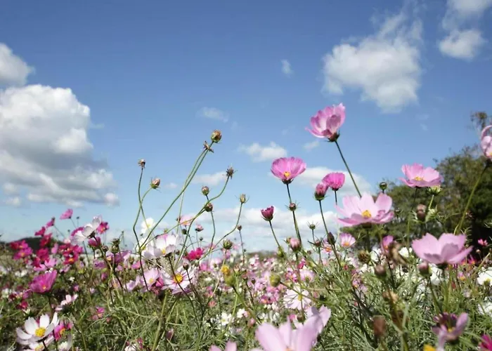 Ferienhaus Family In Hambachtal Boutique Oberhambach