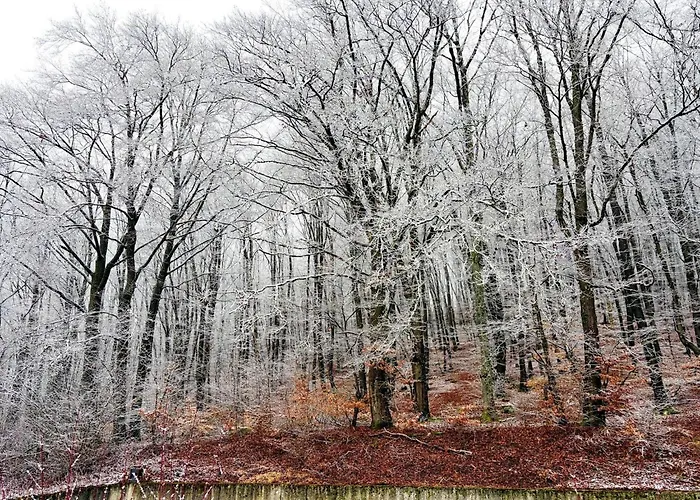 Family In Hambachtal Boutique Casa de Férias